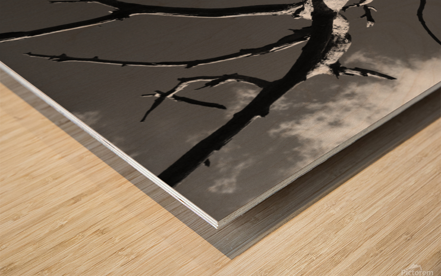 Dead & Twisted Wood print
