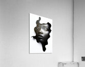 Form in Silence Acrylic Print