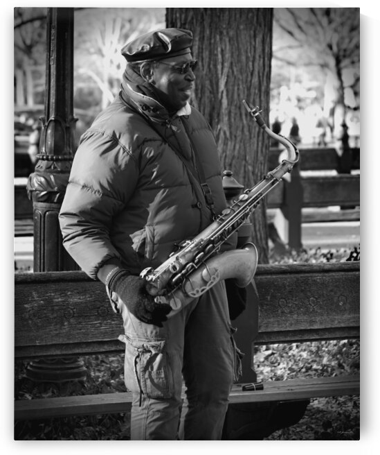 Urban Ballad: Busking Tunes in Central Parks Rhythm by Ganyobiphotos