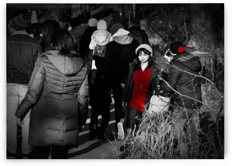 One Among Many: A Central Park Crowd with a Hint of Colour by Ganyobiphotos