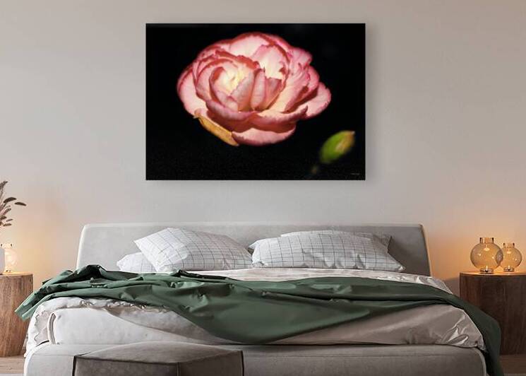 Shadowed Symphony: A Roses Dance on the Dark Canvas by Ganyobiphotos