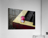 True North Acrylic Print