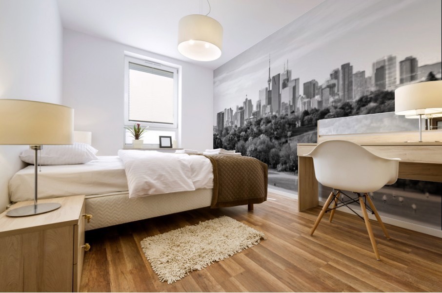 The 6ix Mural print
