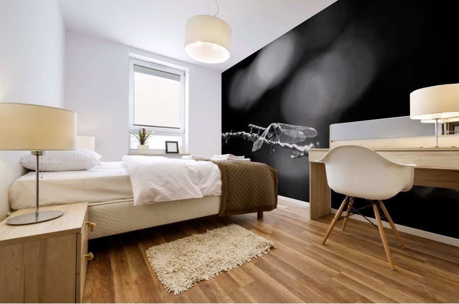 Fire Breather Mural print