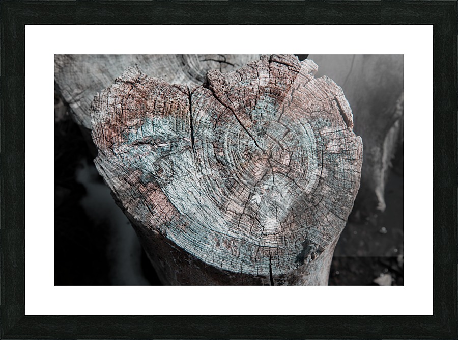 Rustic Log Picture Frame print