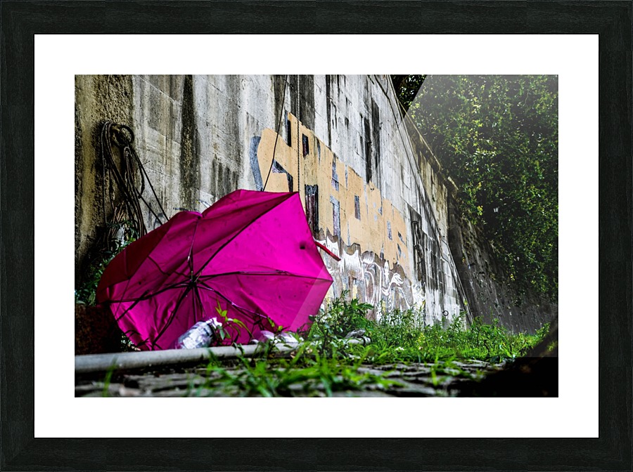 Rain Shield Picture Frame print