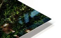 Rain Shield HD Metal print