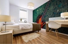 Ovation Fine Tune Mural print
