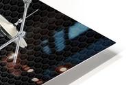Pearl Drums HD Metal print