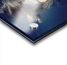 Dive into the blue Acrylic print