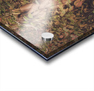 Camouflage Acrylic print