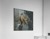 Geometry Acrylic Print