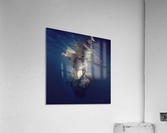 Dive into the blue Acrylic Print