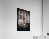Radiance Acrylic Print