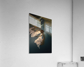Small fish Acrylic Print