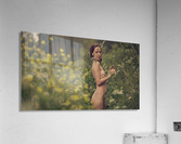 Summer Acrylic Print