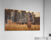 Warm evening Acrylic Print