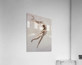 To fly Acrylic Print