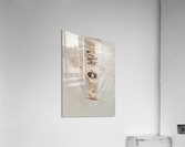 To fly Acrylic Print