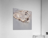 Like a bird Acrylic Print