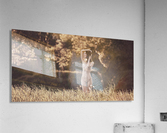 Shine Acrylic Print