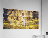 Wonderful May Acrylic Print