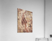 Summer Acrylic Print