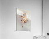 JT6A6140 Acrylic Print