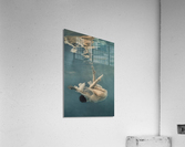 Weightlessness Acrylic Print