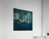 underwater fantasy Acrylic Print