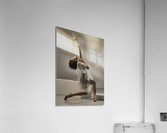 Soft contours Acrylic Print