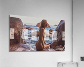 Heat Acrylic Print