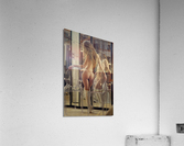 Boudoir Acrylic Print