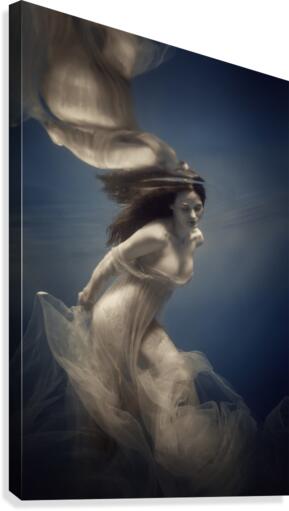 light in the darkness Canvas Print