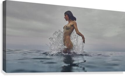 Mermaid dream Canvas Print