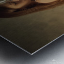 Woman Metal print