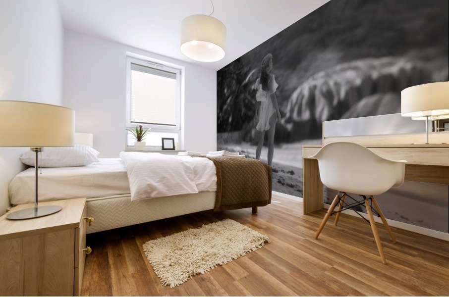 Seychelles Mural print
