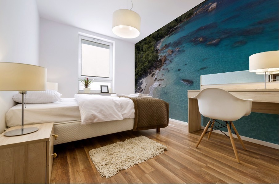 Seychelles Mural print
