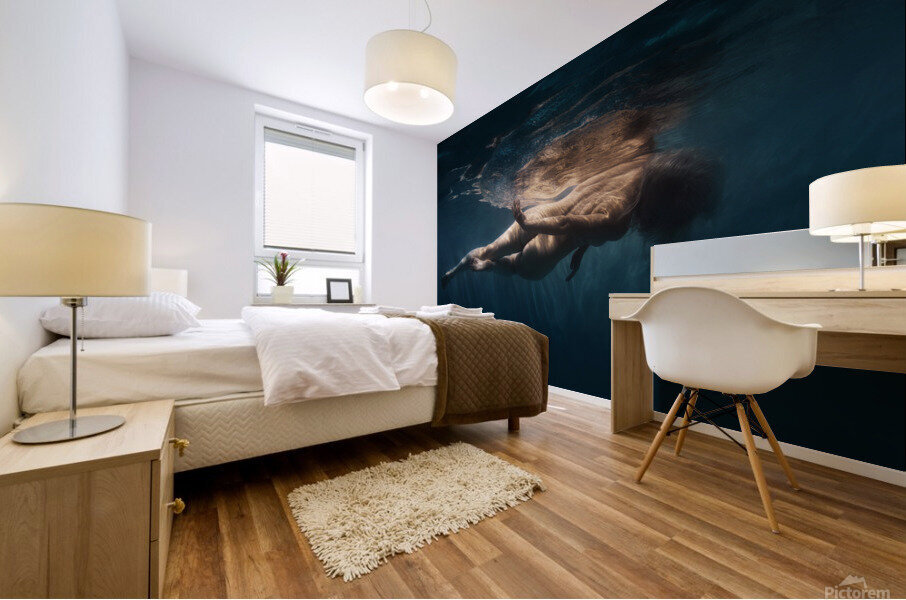 Light and darkness Mural print