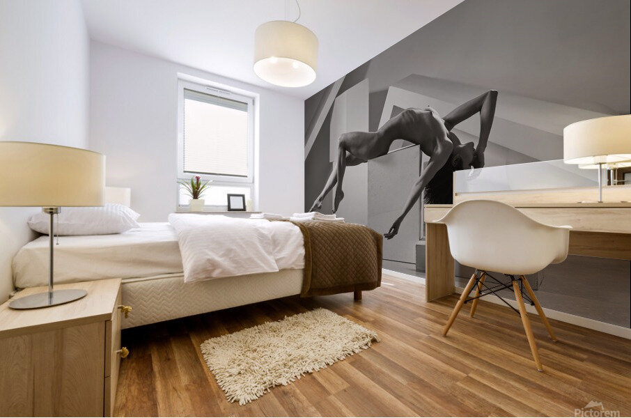 Geometry Mural print