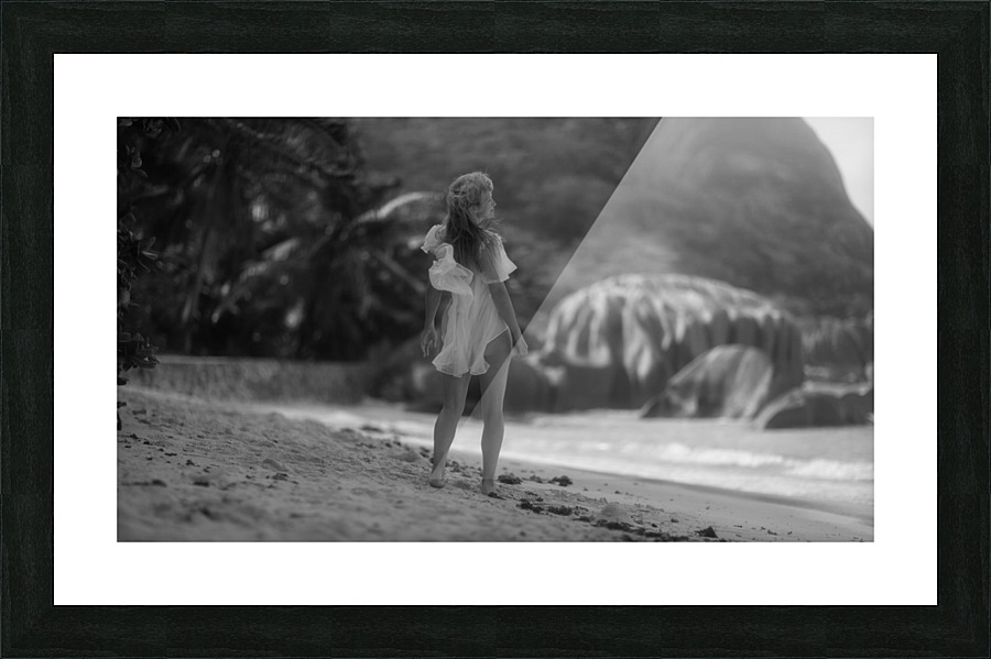 Seychelles Picture Frame print