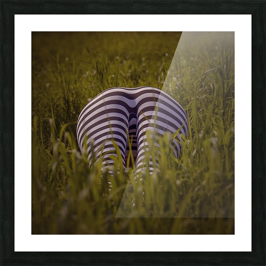 Zebra meets friends Picture Frame print
