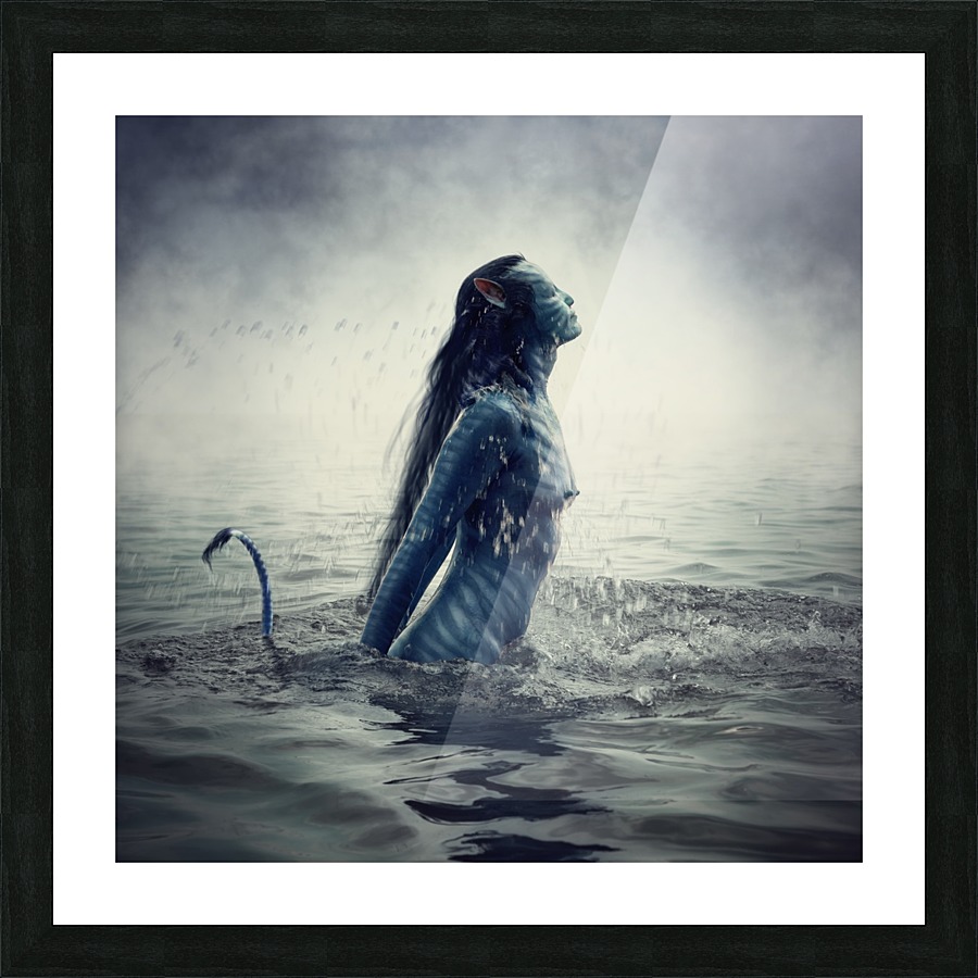 Navi Picture Frame print