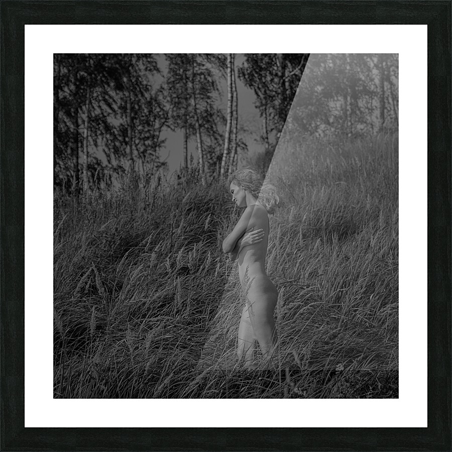 Summer Picture Frame print
