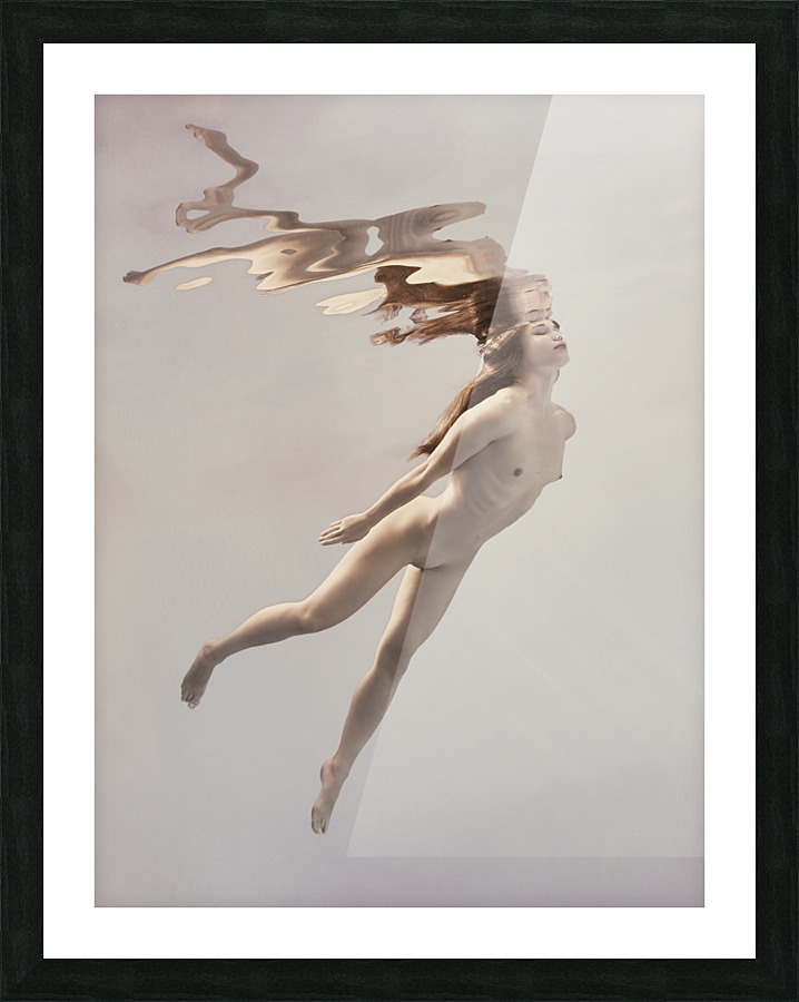 To fly Picture Frame print