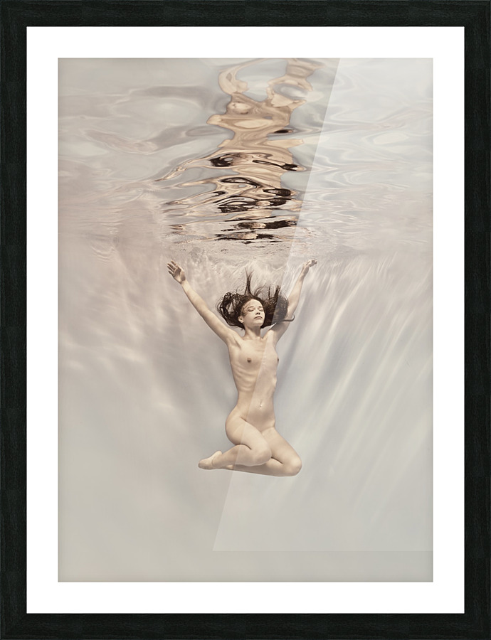 To fly Picture Frame print