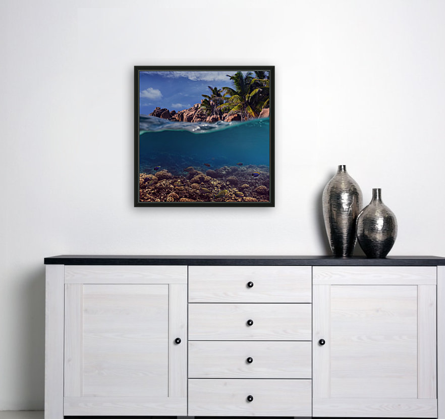 Split. Tropical island Reproduction