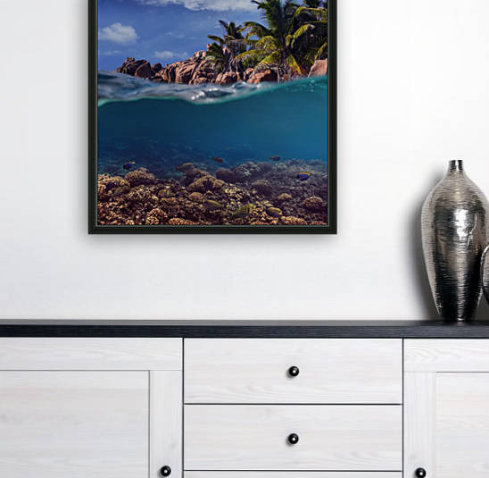 Split. Tropical island Reproduction