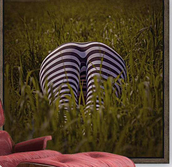 Zebra meets friends Reproduction