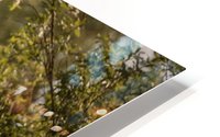 Summer mood HD Metal print